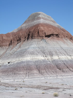 painted desert